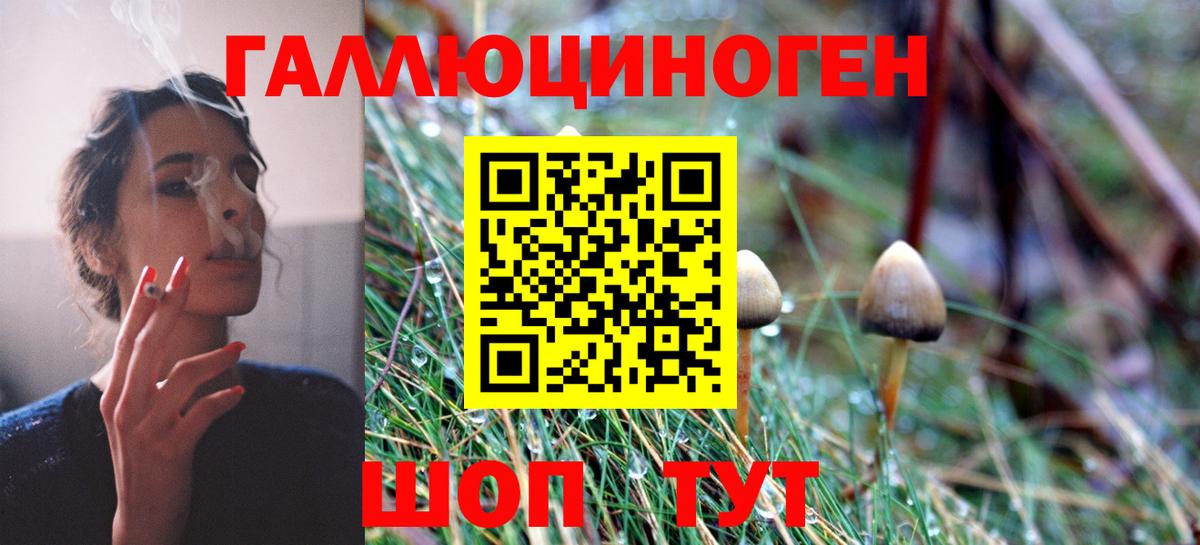 Зерноград  Галлюциногенные грибы мицелий  Галлюциногенные грибы мухоморы  продажа наркотиков  Вход с VPN 